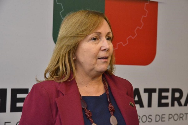 Presidente do Crea-RS, Alice Scholl: informações para os profissionais gaúchos