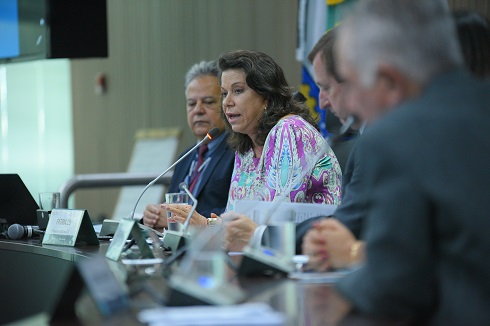 Presidente do Crea-DF, Fátima Có