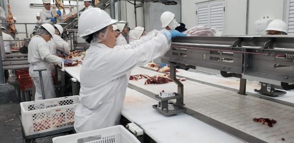 Trabalhadores em ação