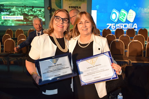 Marilene Pretto recebe homenagem das mãos da Eng. Alice Scholl, 1ª vice-presidente no exercício da Presidência do CREA-RS