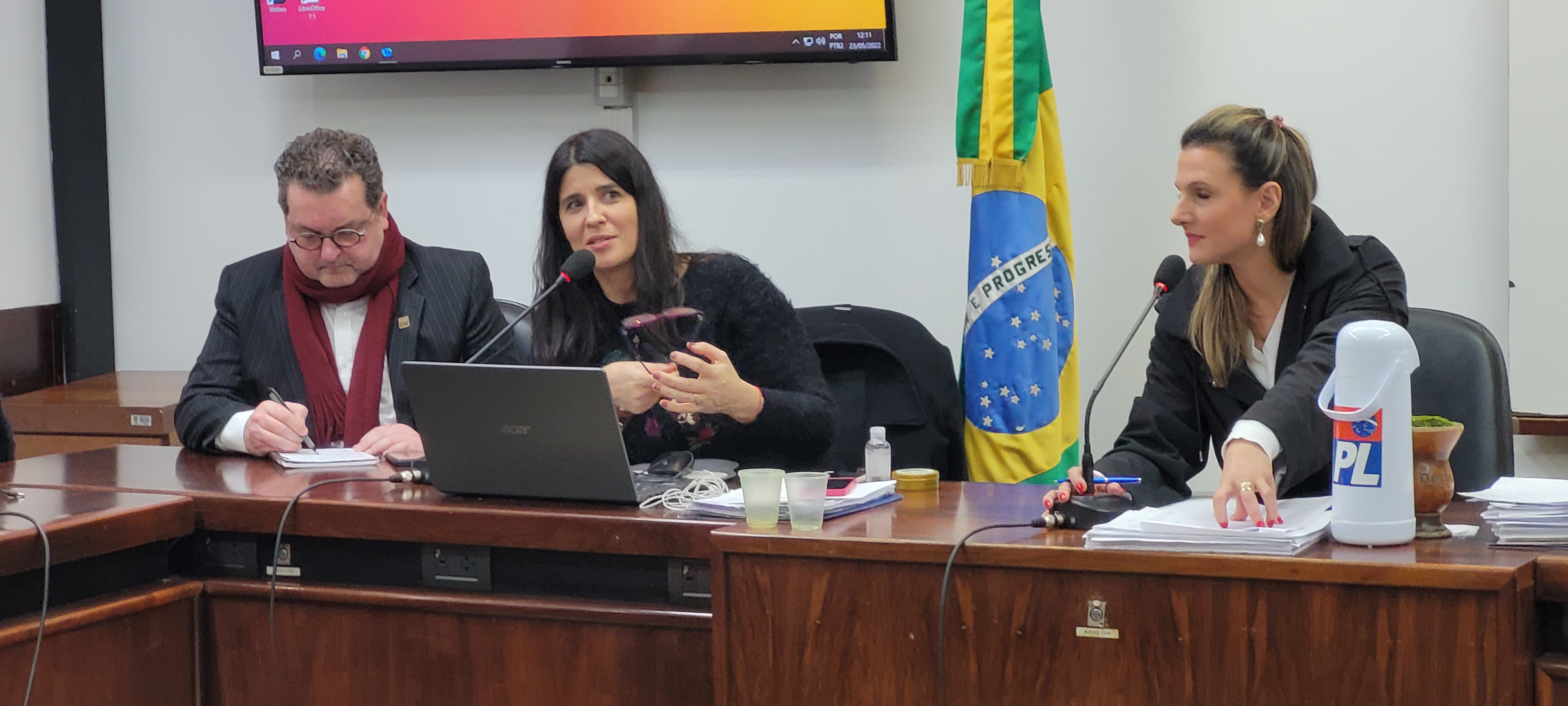 Eng. Nanci Walter, única presidente de Conselho presente