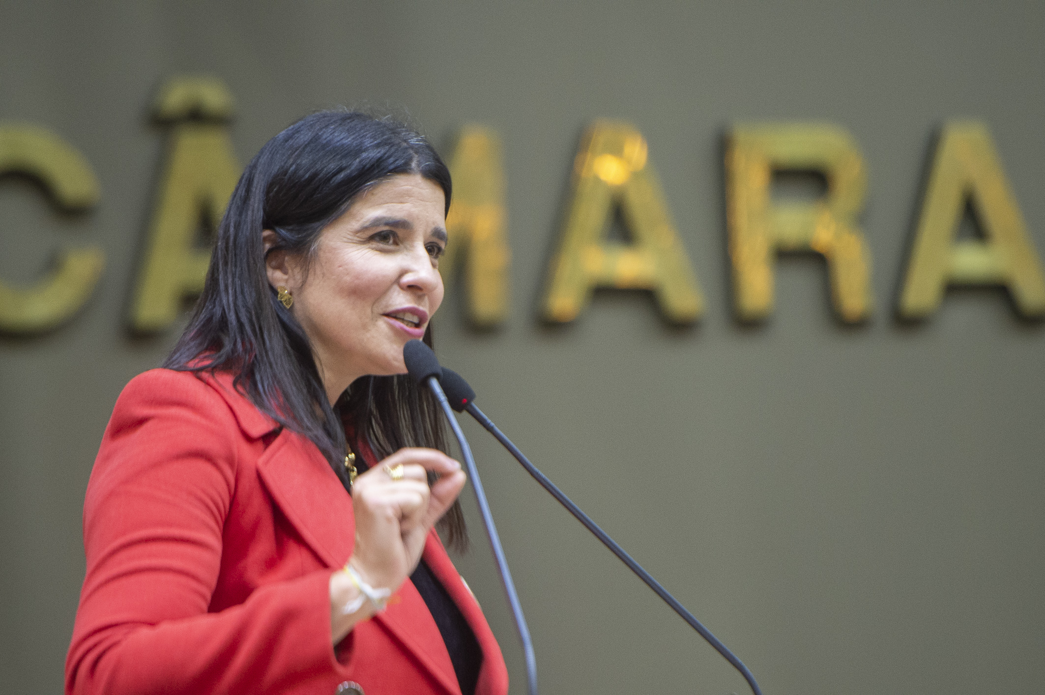 Eng. Nanci agradeceu a homenagem e falou sobre a importância da Engenharia