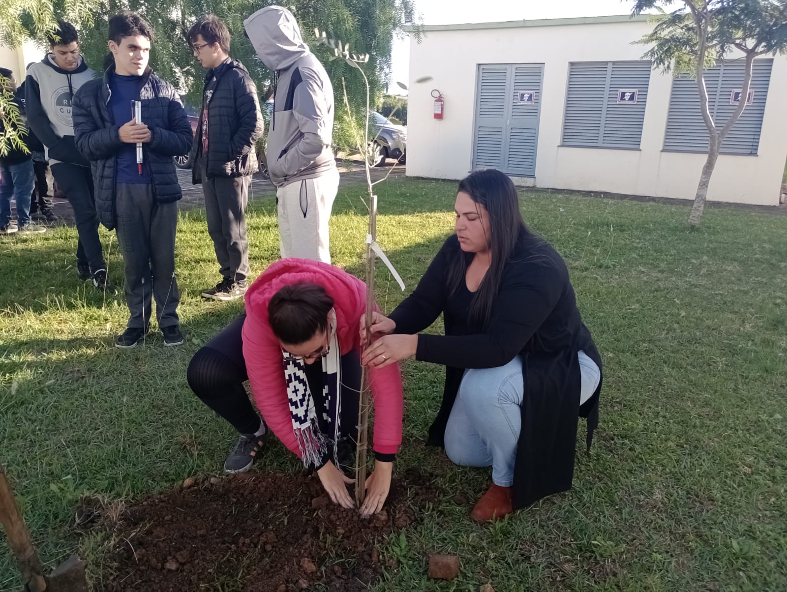 A ação escolheu as mudas de Oliveira no plantio por vários significados