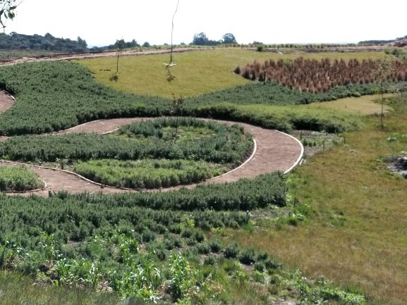 Empreendimento turístico que inaugura com 30 jardins projetados, combinando espécies vegetais ornamentais com as que oferecem sombra e frutas