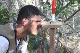 Biomas brasileiros mapeados