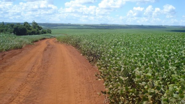 CREA-RS intensifica fiscalização do Crédito Rural
