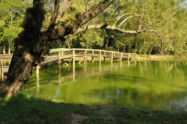 Jardim Botânico comemora Dia Internacional do Fascínio às Plantas
