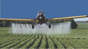 Fórum de combate aos impactos dos agrotóxicos repudia pulverização contra Aedes