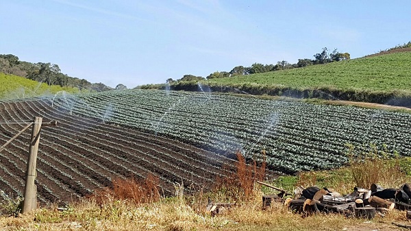 CREA-RS fiscaliza 94 propriedades rurais de Caxias do Sul