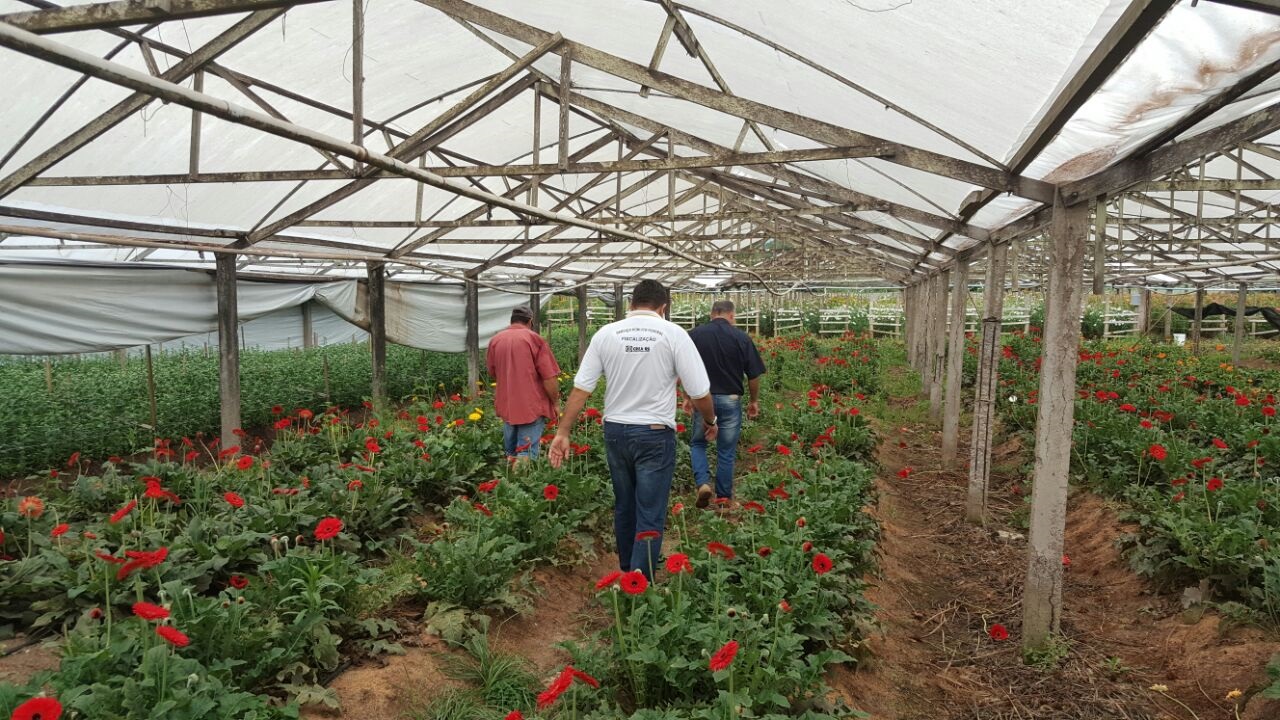 CREA-RS realiza Plano Intensivo de Fiscalização em Torres