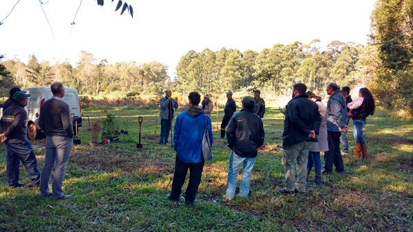 Comissão da Eng. Florestal de Santa Maria participou de oficina