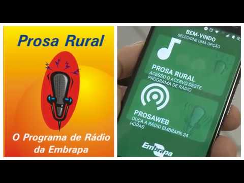 Prosa Rural: Manejo de solos com altos níveis de cobre na cultura da videira