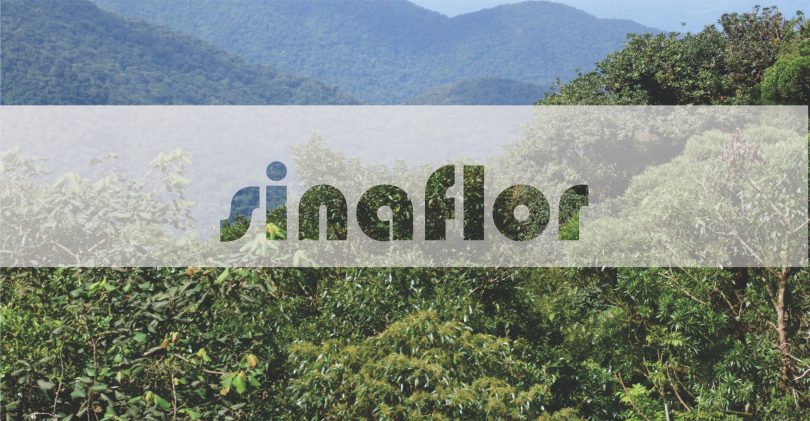 Agef promove Capacitação sobre a Utilização do Sinaflor