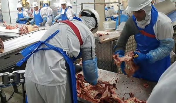 CREA-RS participa de força-tarefa de inspeção no frigorífico Marfrig em Alegrete