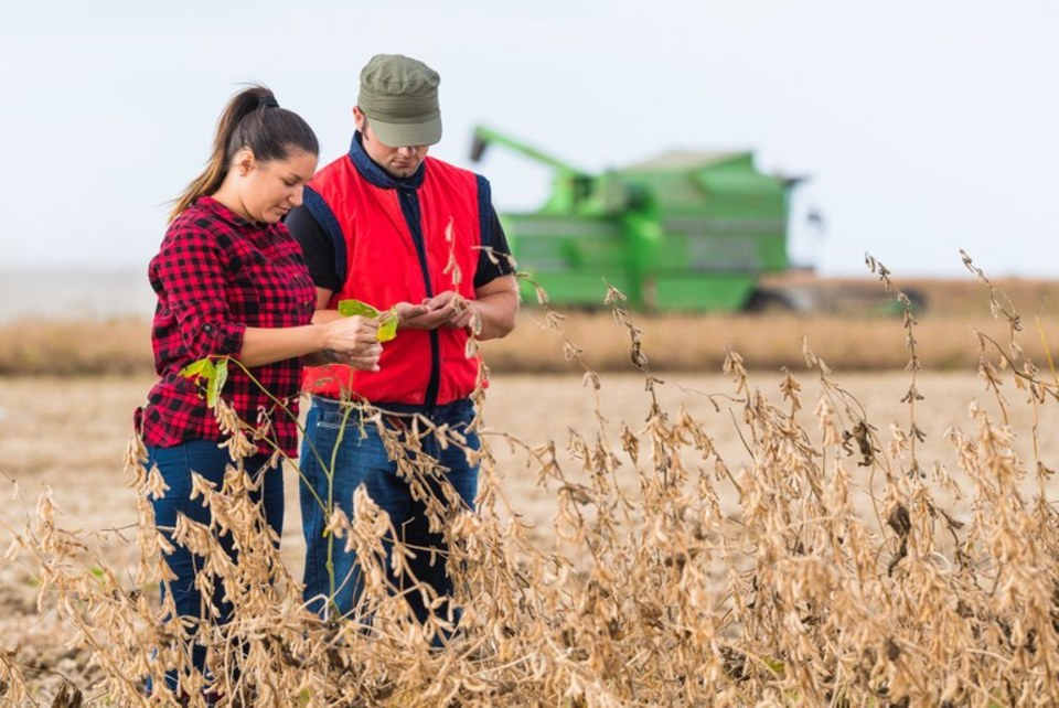 Governo lança programa de residência para estudantes de ciências agrárias