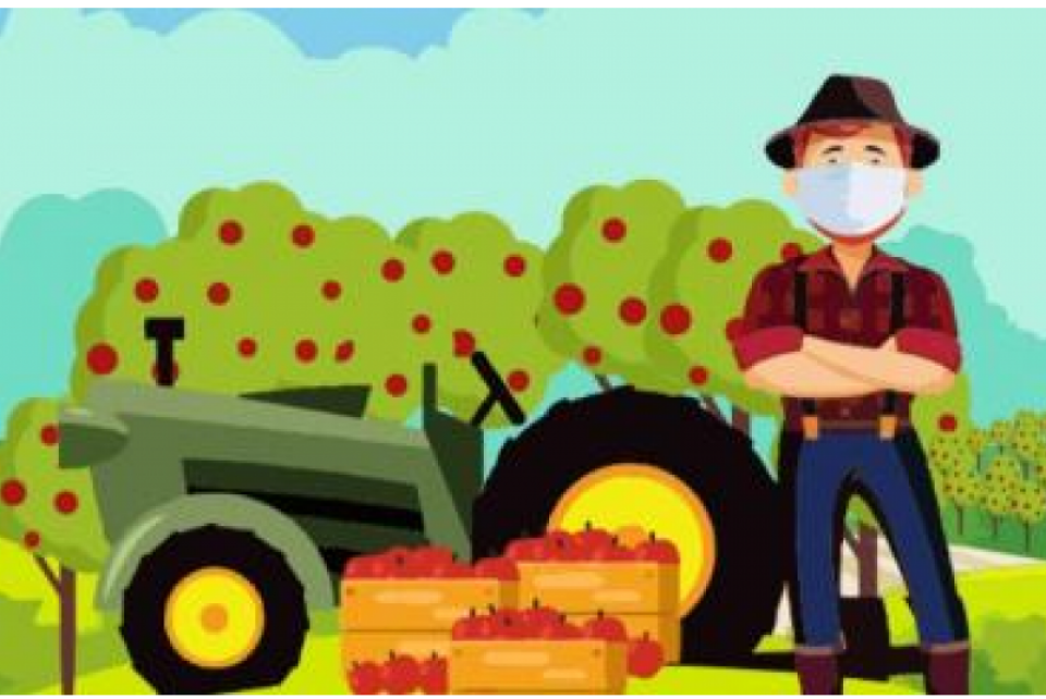 Cartilhas do Mapa e da Confaeab orientam trabalhadores do campo