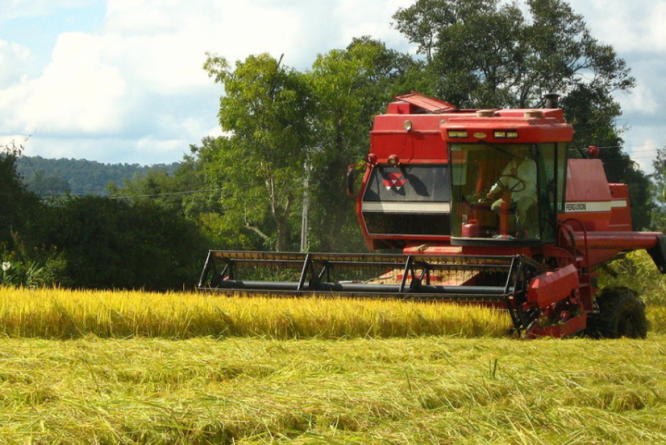 Sustentabilidade pós-Covid-19 é tema de live na AgroBrasília