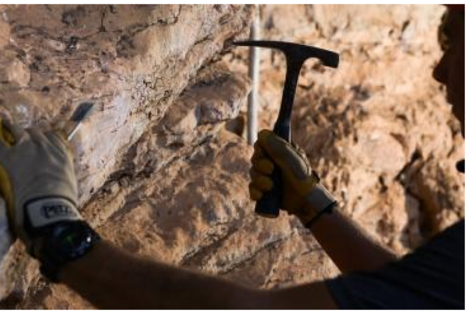 Coordenadoria de Câmaras Especializadas promove live sobre mineração