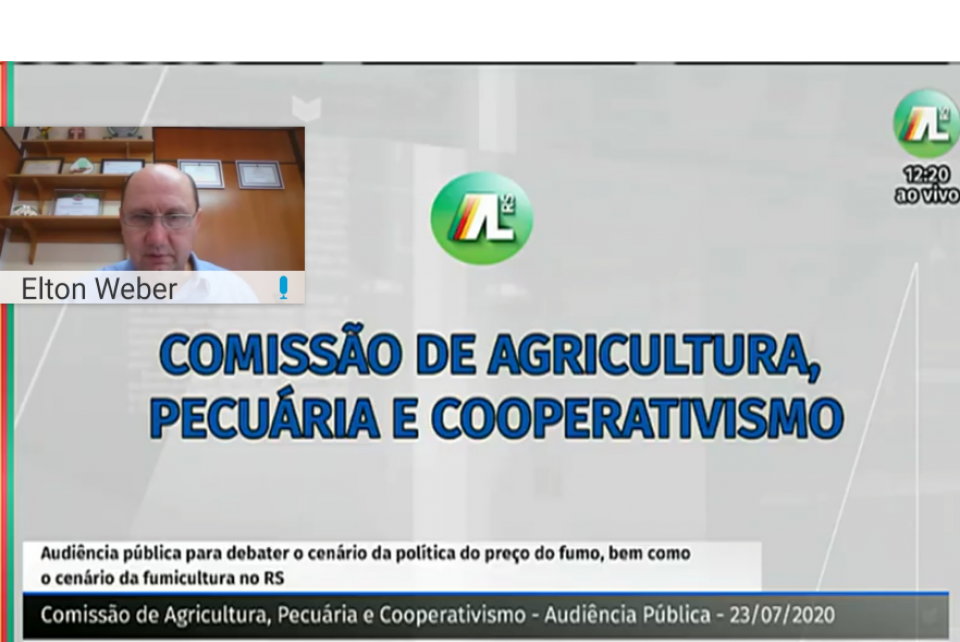 Baixa classificação da folha de fumo pode colapsar cadeia produtiva do tabaco