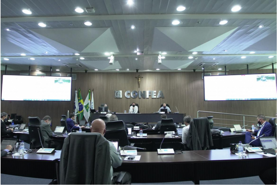 Confea aprova composição dos plenários de Creas para 2021