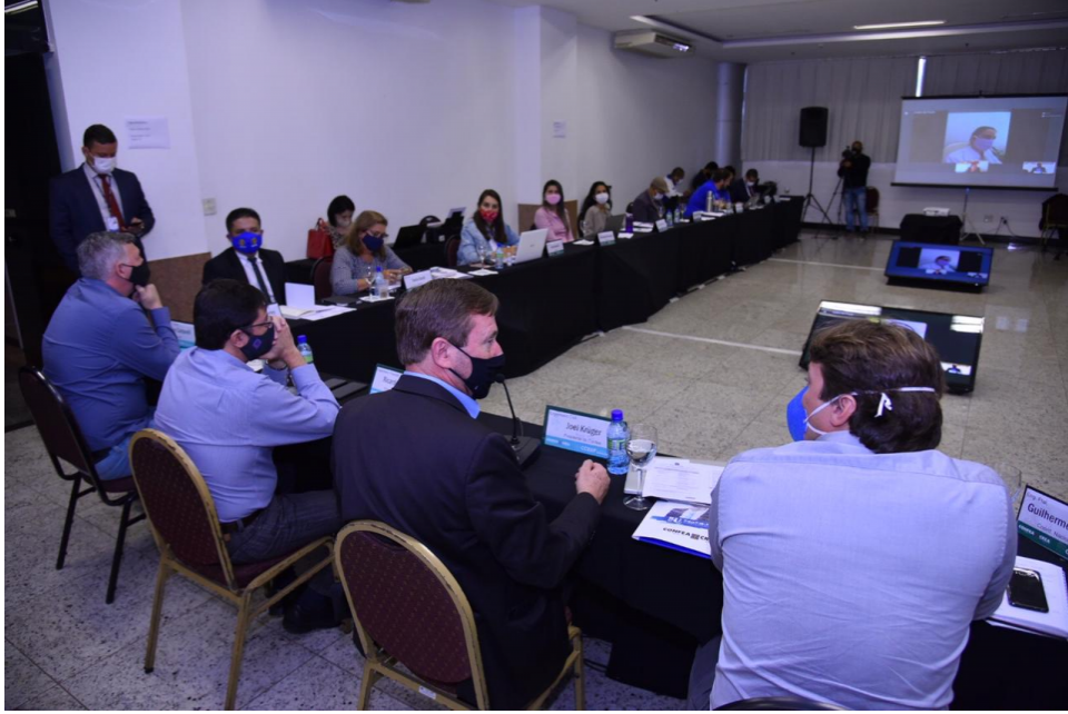 CCEEF discute manejo florestal e diretriz curricular