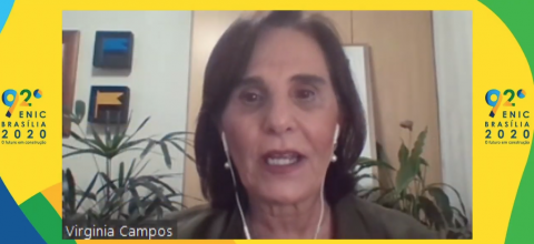 Presidente da Sociedade Mineira de Engenheiros, eng. civ. Virgínia Campos