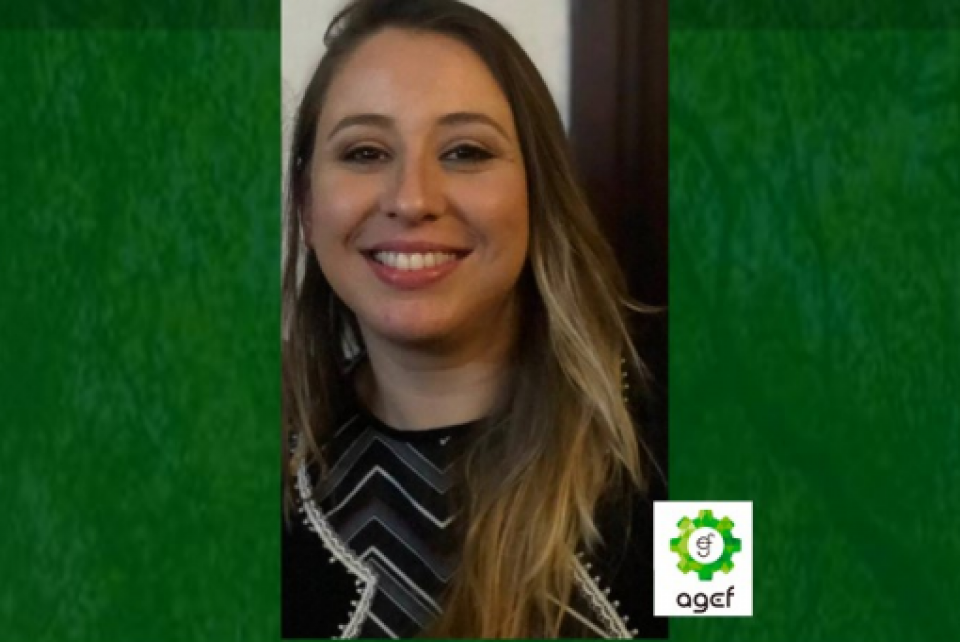 Bate-papo com a presidente da Agef