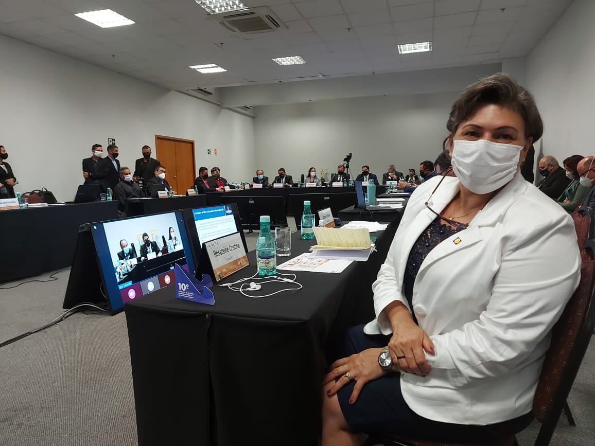 Eng. Seg. Trab. Roselaine Cristina Mignoni, Câmara Especializada de Engenharia de Segurança do Trabalho