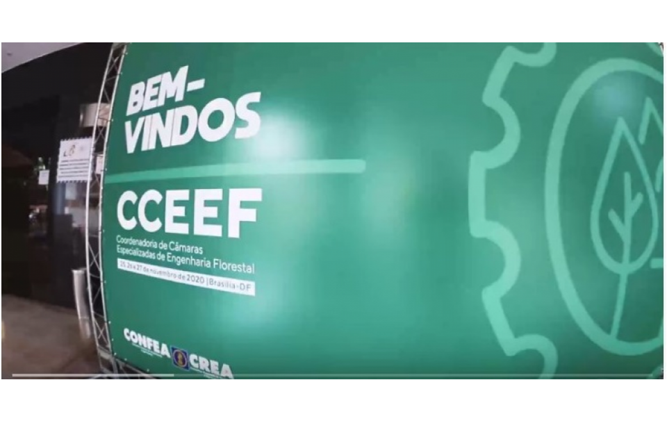 CCEEF esclarece sobre a diferença entre manejo florestal e desmatamento