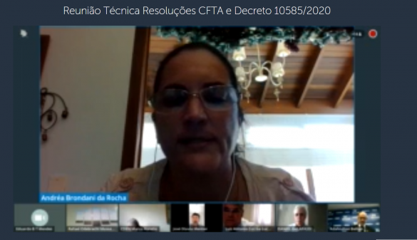 Conselheira federal Andréa Brondani
