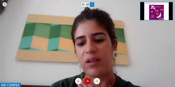 As novas iniciativas do Comit&ecirc; Gestor do Programa Mulher no Confea foram conduzidas pela secret&aacute;ria executiva do programa, eng. eletric. Fabyola Resende