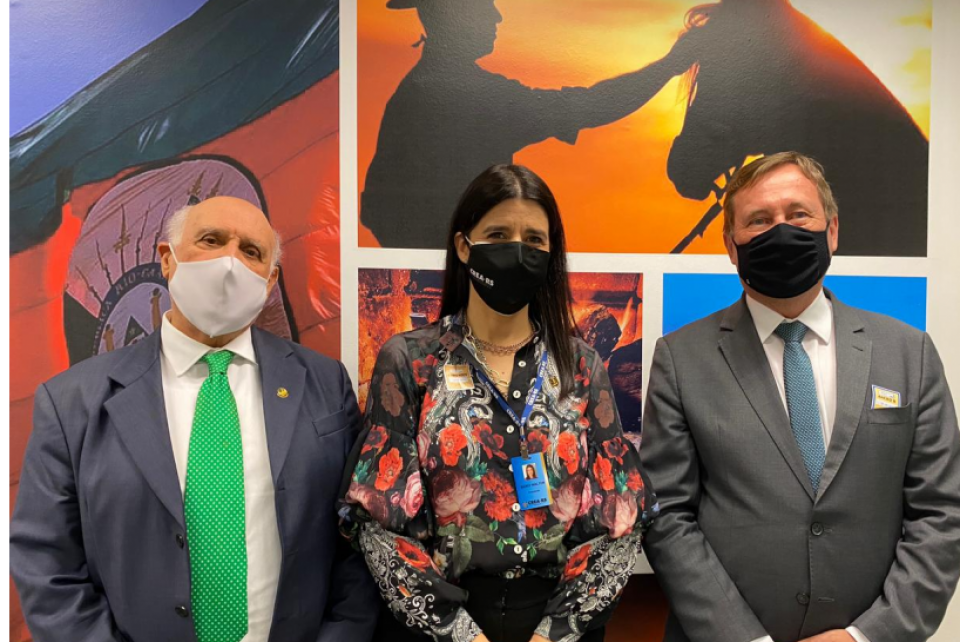 Comitiva do Sistema Confea/Crea reúne-se com o senador Lasier Martins