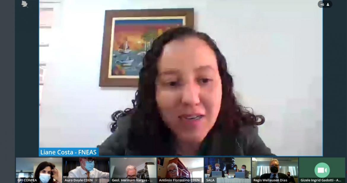 Vice-Presidente da FNEAS, Liane Costa