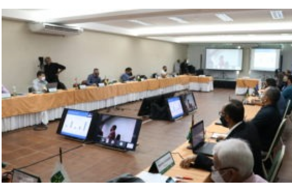 Reunião de Câmaras Especializadas de Engenharia Florestal elabora propostas para categoria