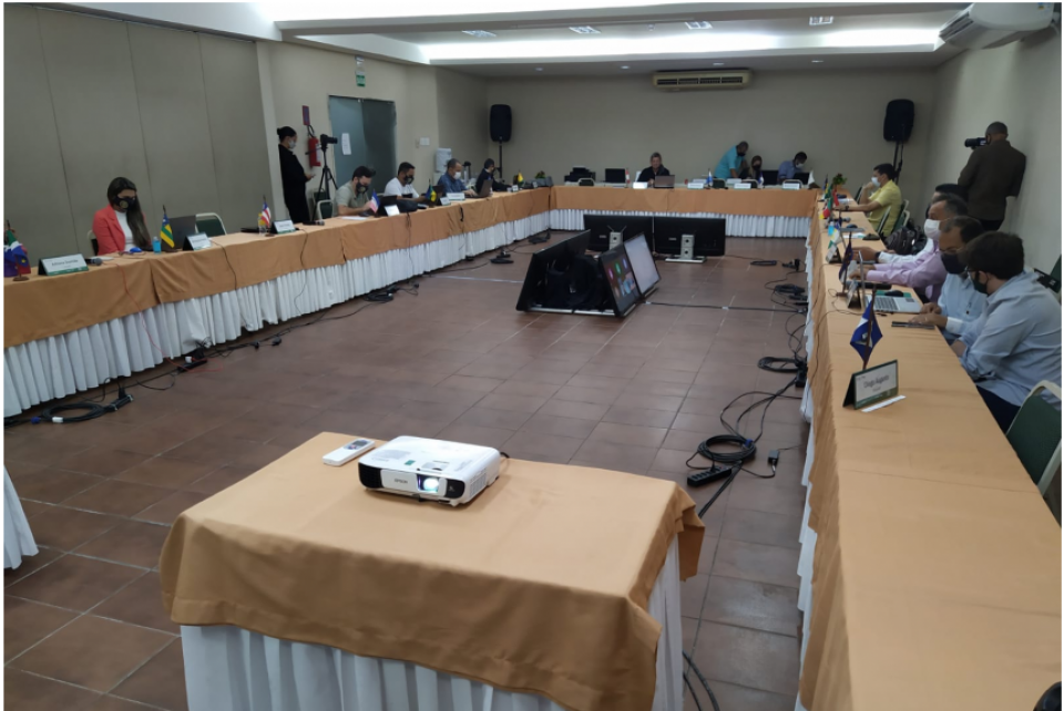 Reunião da Coordenadoria de Câmaras Especializadas de Engenharia Florestal encerra com propostas estratégicas para a categoria