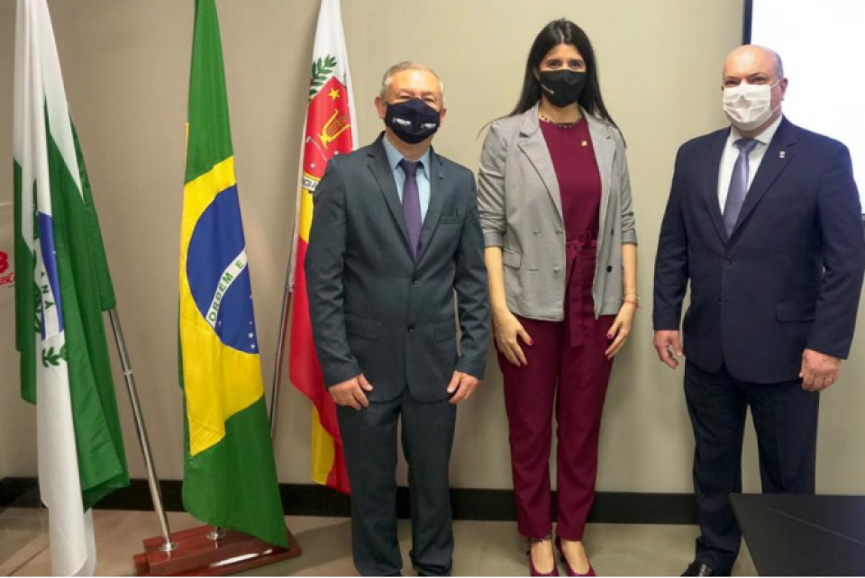 CREA-RS marca presença no CREASul