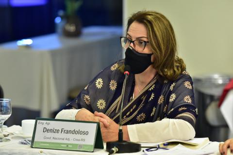 Coordenadora adjunta da CCEAGRO, Denize Frandoloso defendeu a importância da resolução sobre o tema
