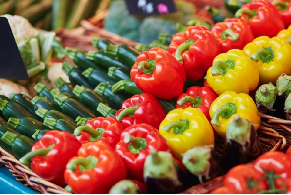 Congresso Brasileiro de Agronomia debaterá segurança alimentar e a importância da agricultura orgânica