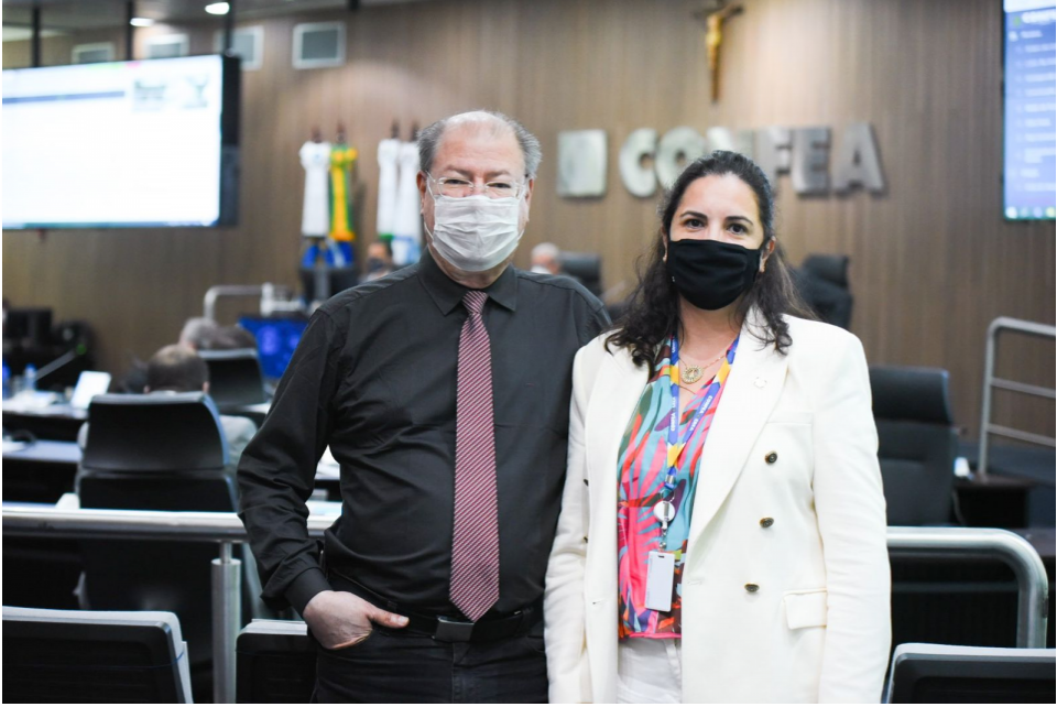 Renovação de um terço dos plenários do Sistema domina pauta de plenária