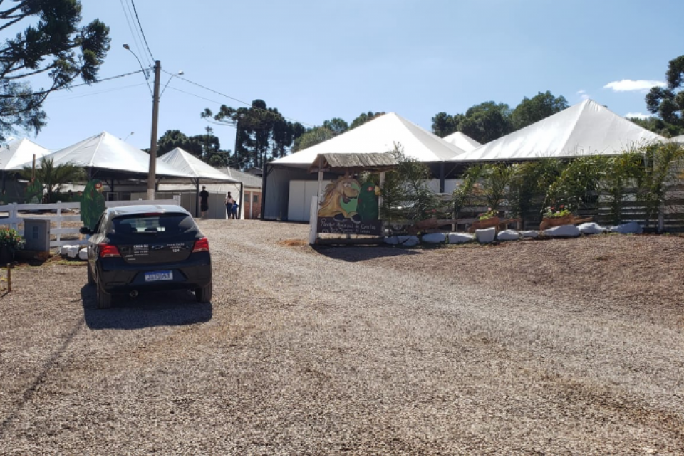 Festa do Pinhão, que ocorre em Muitos Capões, é fiscalizada pelo CREA-RS
