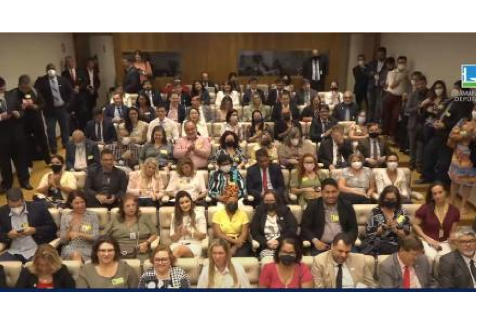 Câmara dos Deputados defende importância dos conselhos profissionais