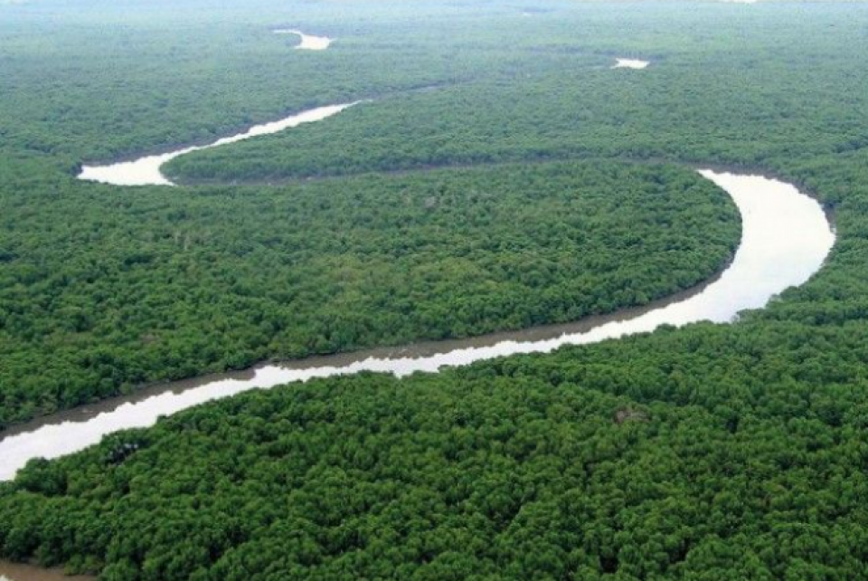 10 anos do Código Florestal: veja o que mudou neste período