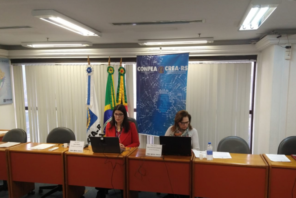 Sessão Plenária Extraordinária aprova processos de interesse profissional