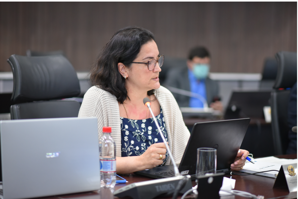 Plenário do Confea manifesta-se contra o PLC 39/2020