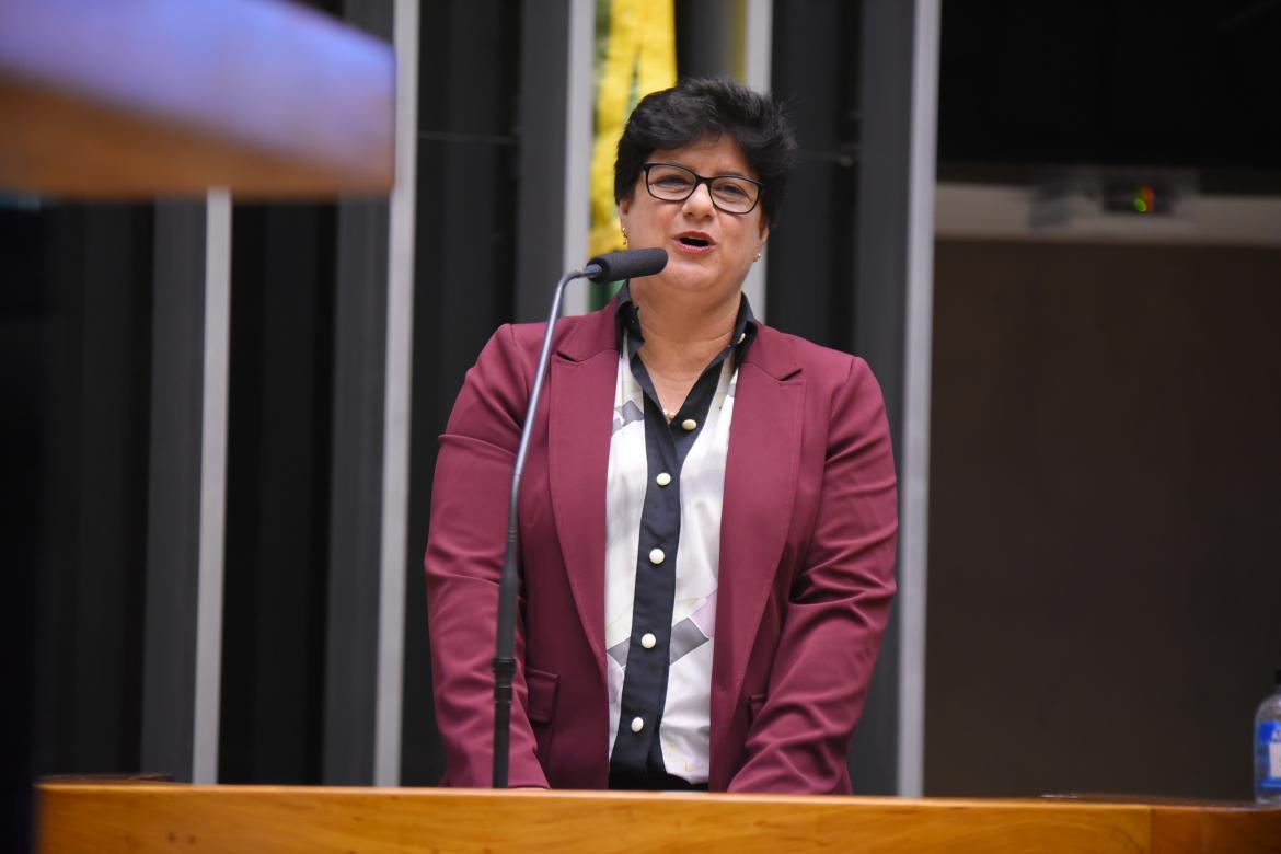 Presidente do Instituto Brasileiro para Inovação e Sustentabilidade do Agronegócio (Ibisa), a engenheira agrônoma Mônika Bergamasch descreveu a participação feminina no agronegócio