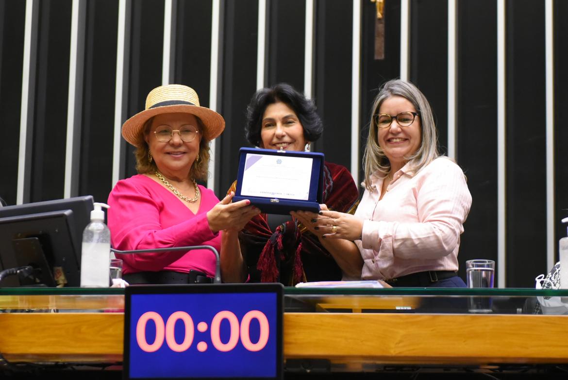 Primeira presidente de Crea, no Rio Grande do Norte, engenheira civil Zélia Maria Juvenal dos Santos também foi homenageada