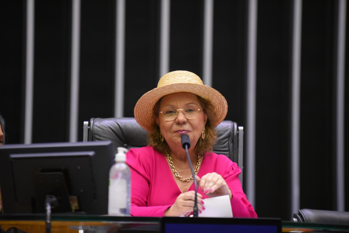 Autora do requerimento da sessão solene, deputada Tereza Nelma