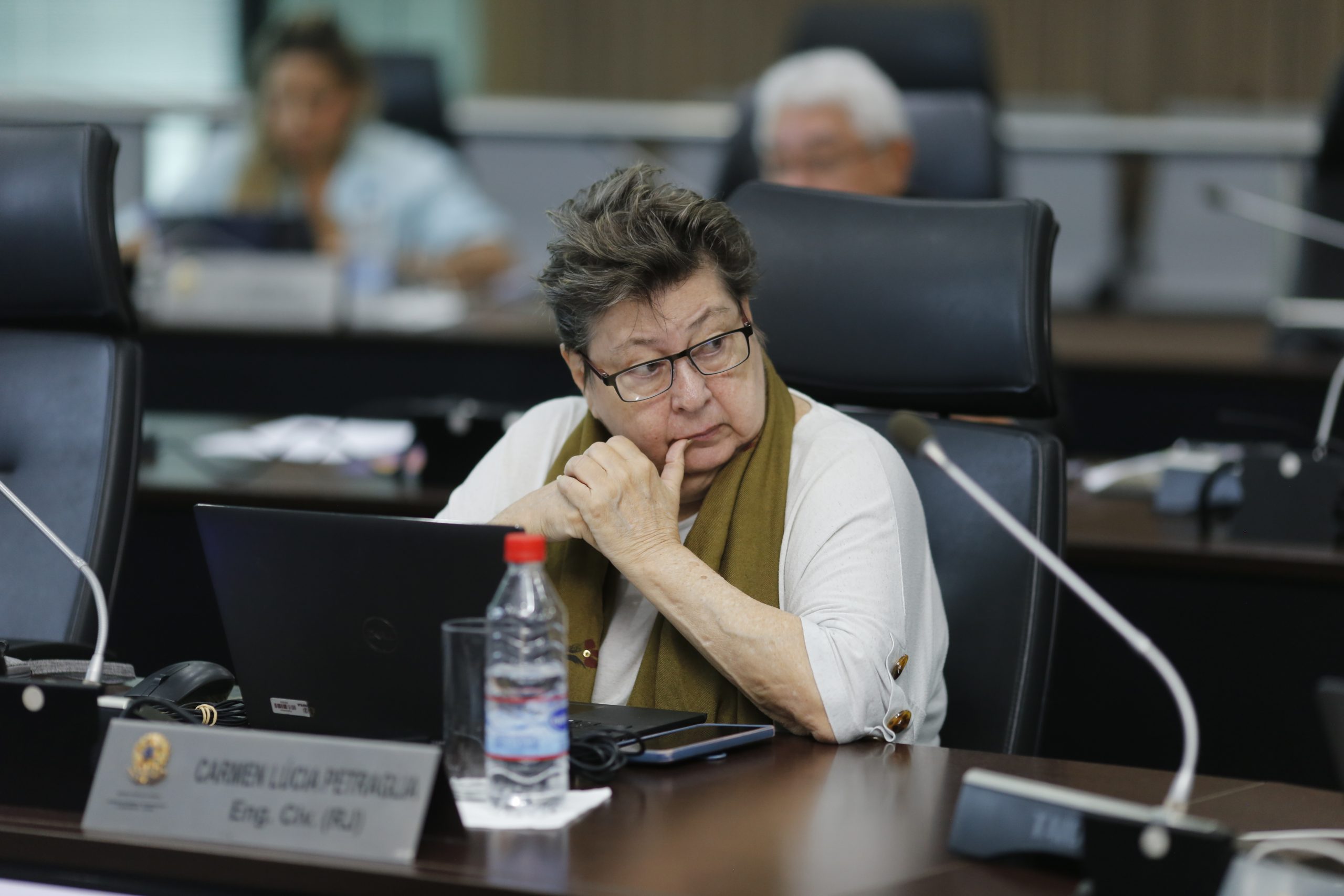 Conselheira federal eng. civ. Carmen Petraglia