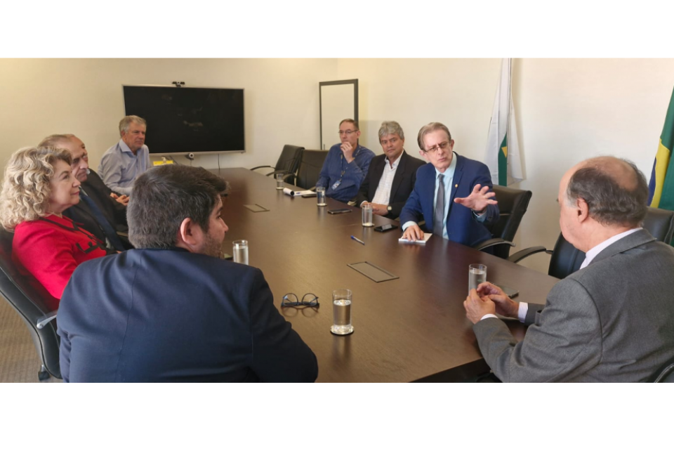 Comissão de Harmonização se reúne com vice-presidente do CFMV
