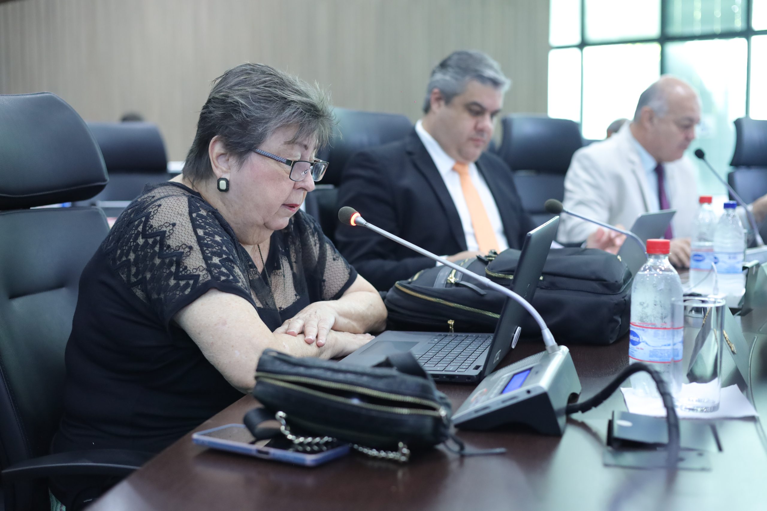 Conselheira federal Carmen Petragila, primeira chanceler do Mérito da história do Confea, apresentou os nomes dos novos homenageados do Mérito